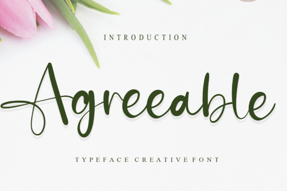 Agreeable: A Elegant Script Font