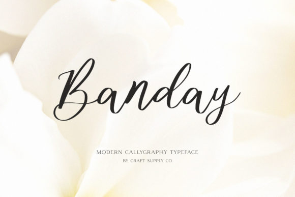Banday: A Classy Script Font for Web Design