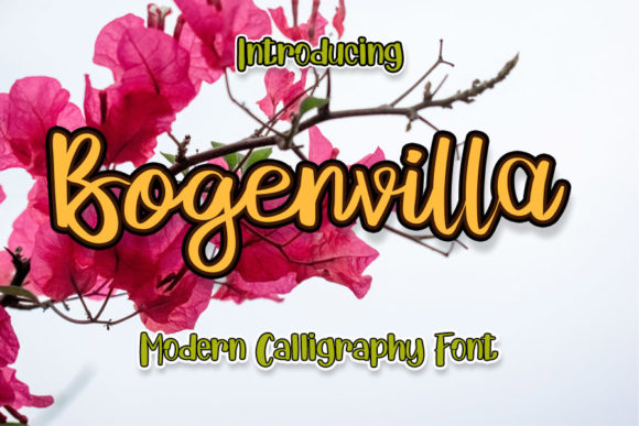 Bogenvilla: A Romantic Font for Web Design