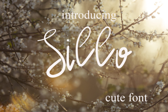 Sillo: A Script Font for Real-World Design