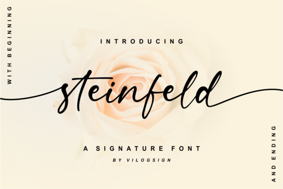 Steinfeld: Elegant Script Font for Crafters